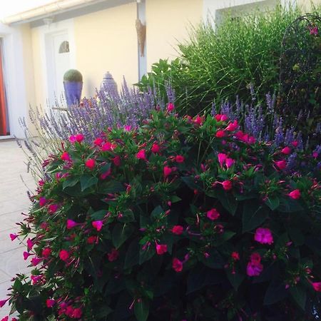 La Maison De Lilly Arcachon Ngoại thất bức ảnh