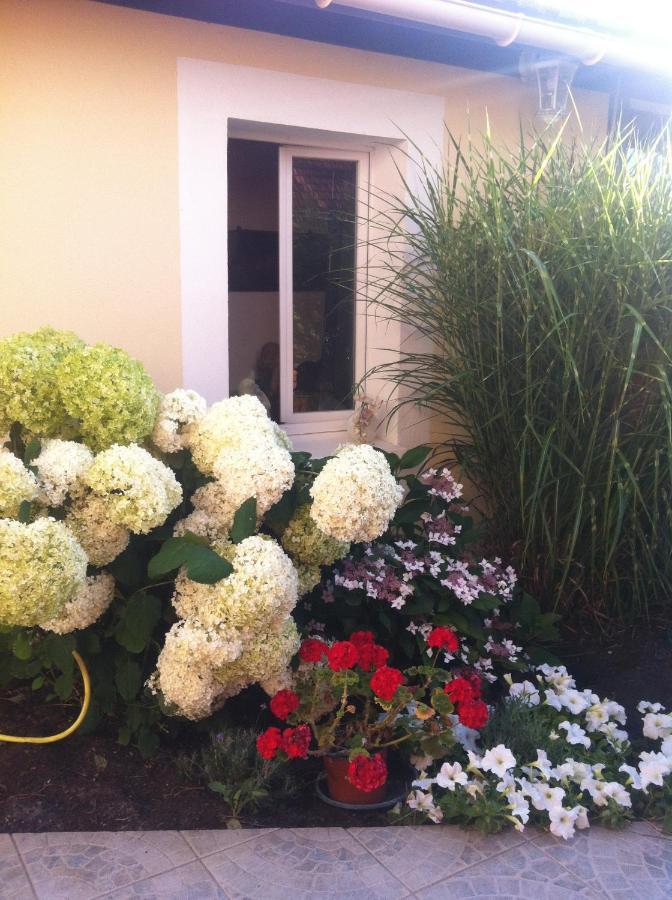 La Maison De Lilly Arcachon Ngoại thất bức ảnh